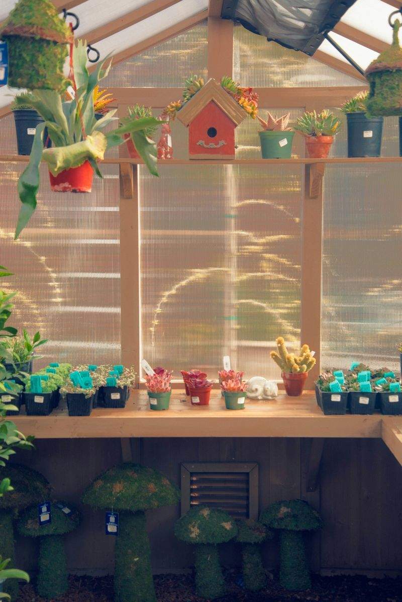 法人向け外構植栽管理